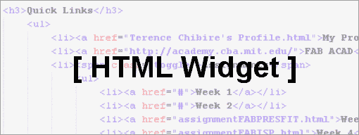HTML Widget